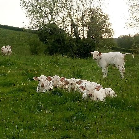 Gite A La Ferme Le Rousset Exteriér fotografie