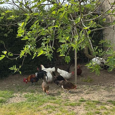 Gite A La Ferme Le Rousset Exteriér fotografie