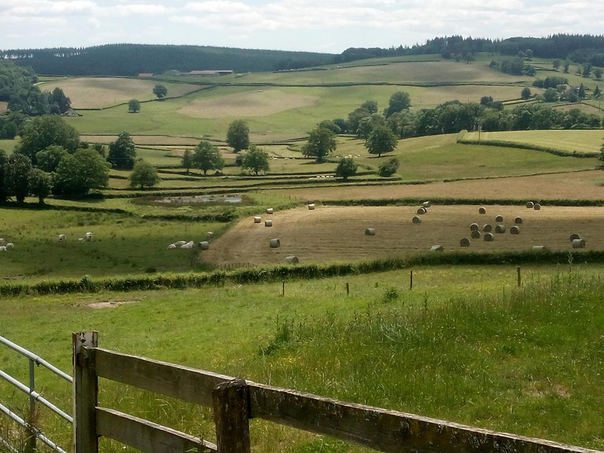Gite A La Ferme Le Rousset Exteriér fotografie